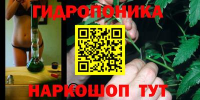 шишки Волгодонск