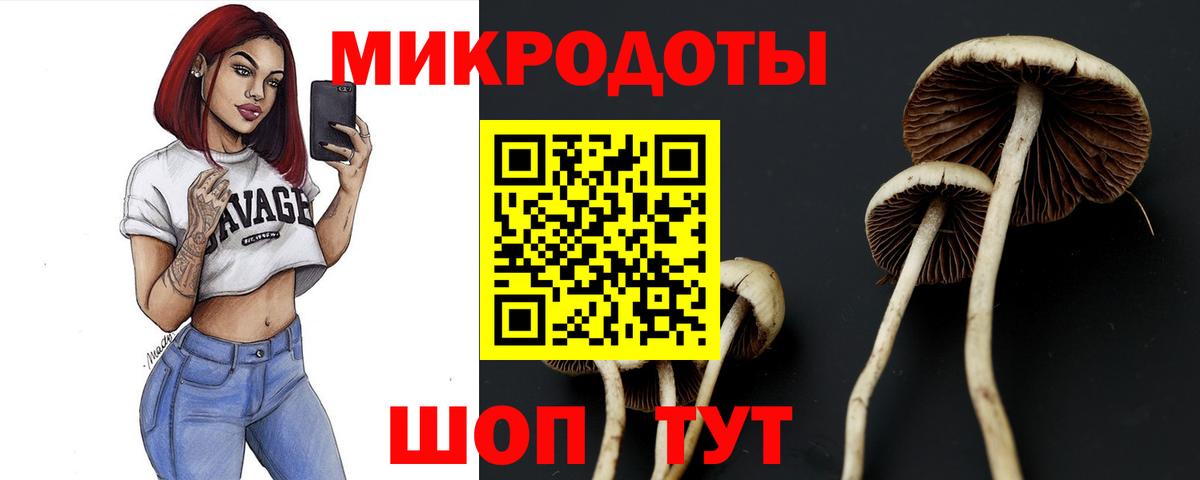 Псилоцибиновые грибы Magic Shrooms  купить  сайты  Галлюциногенные грибы ЛСД  Нижневартовск  Вход с VPN 